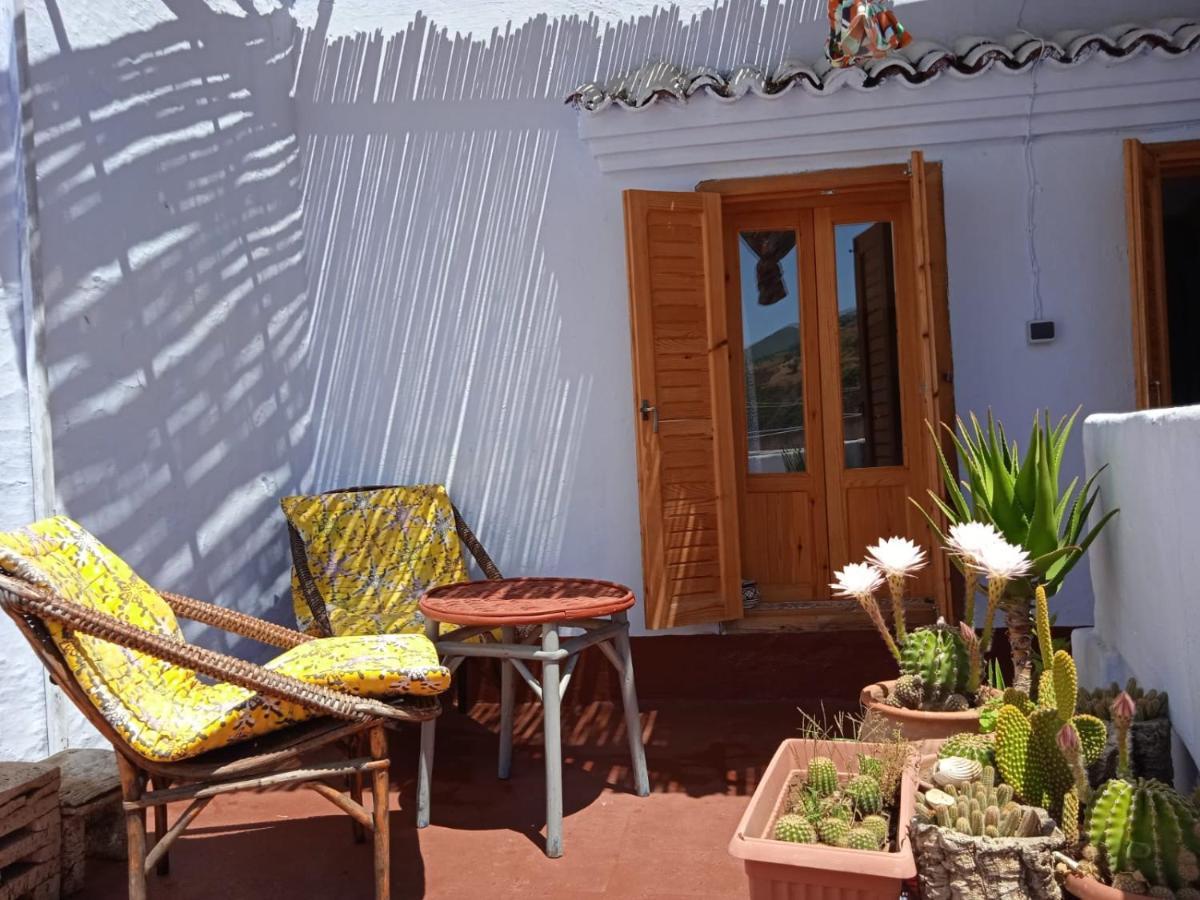 Vallparadis Pension Familiar" Firdaus" Chefchaouen Exterior foto